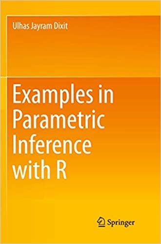 okumak Examples in Parametric Inference with R
