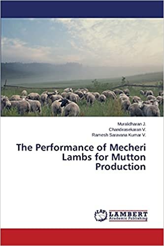 okumak The Performance of Mecheri Lambs for Mutton Production