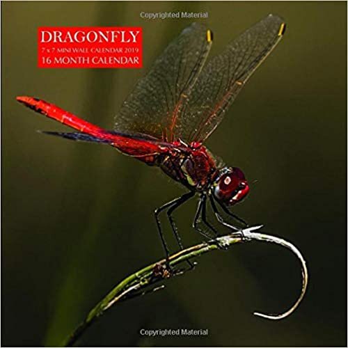 okumak Dragonfly 7 x 7 Mini Wall Calendar 2019: 16 Month Calendar