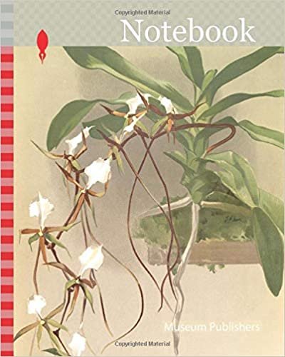 okumak Notebook: Orchid, Angraecum caudatum, Sander, F. (Frederick), 1847-1920, Mansell, Joseph, Lithographer, Moon, H. G