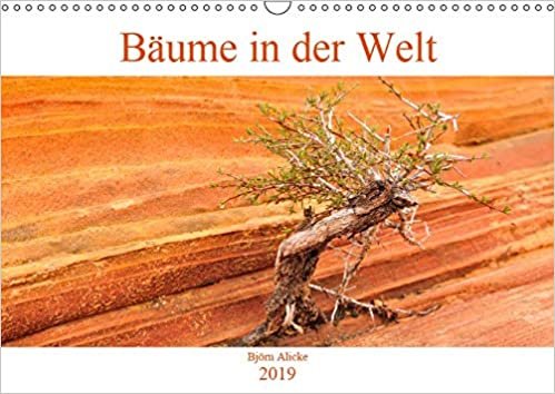 okumak Alicke, B: Bäume in der Welt (Wandkalender 2019 DIN A3 quer)