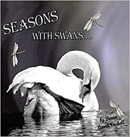 okumak Seasons with Swans