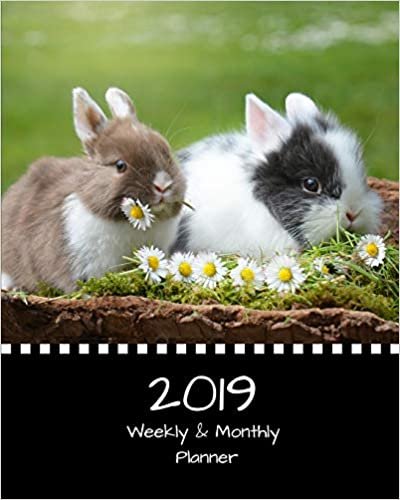 okumak 2019 Weekly and Monthly Planner: Two Little Bunnies Daily Organizer -To Do -Calendar in Review/Monthly Calendar with U.S. Holidays–Notes Volume 39