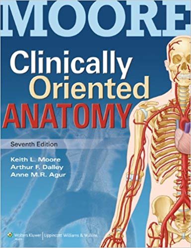 okumak Clinically Oriented Anatomy