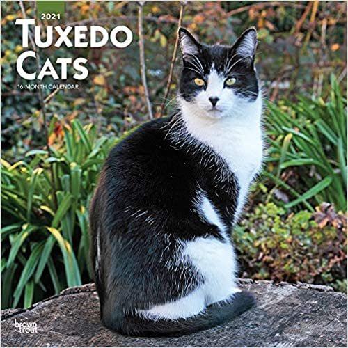okumak Tuxedo Cats - Tuxedo-Katzen 2021 - 16-Monatskalender: Original BrownTrout-Kalender [Mehrsprachig] [Kalender] (Wall-Kalender)