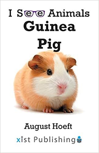 okumak Guinea Pig (I See Animals)