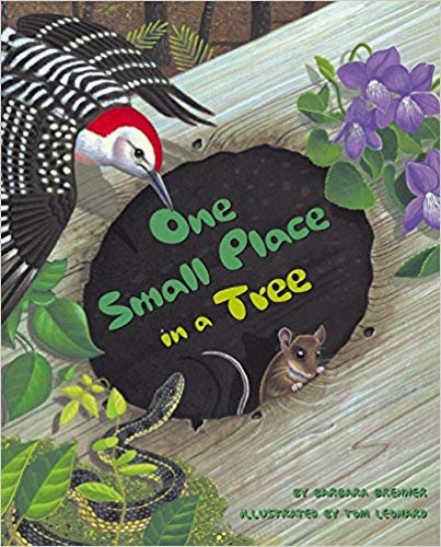 okumak One Small Place in a Tree (Outstanding Science Trade Books for Students K-12)