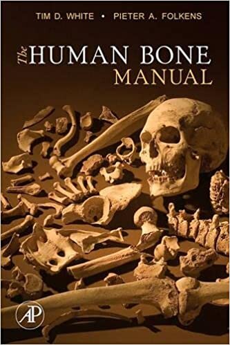 okumak The Human Bone Manual