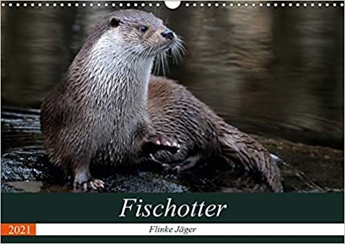 okumak Fischotter, flinke Jäger (Wandkalender 2021 DIN A3 quer): Fischotter sind flinke und wendige Jäger (Monatskalender, 14 Seiten )