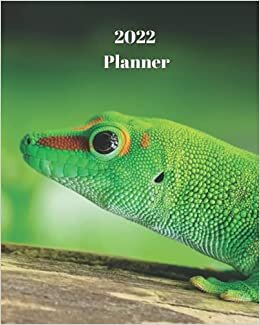 okumak 2022 Planner: Green Lizard - Monthly Calendar with U.S./UK/ Canadian/Christian/Jewish/Muslim Holidays– Calendar in Review/Notes 8 x 10 in.-Reptile Animals - For Work Business School
