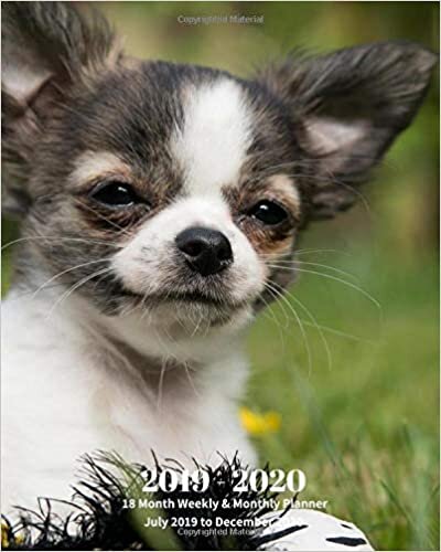 okumak 2019 - 2020 | 18 Month Weekly &amp; Monthly Planner July 2019 to December 2020: Chihuahua Pup Dog Vol 10 Monthly Calendar with U.S./UK/ ... Holidays– Calendar in Review/Notes 8 x 10 in.