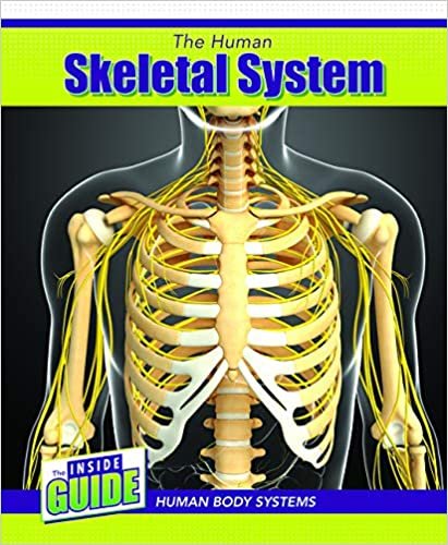 okumak The Human Skeletal System (Inside Guide: Human Body Systems)