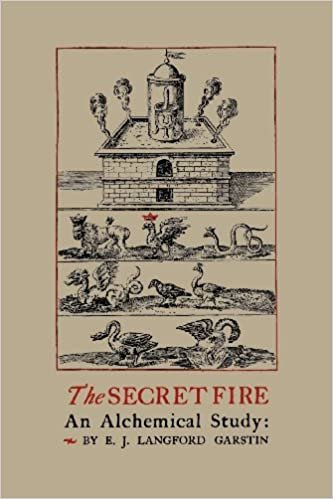 okumak The Secret Fire: An Alchemical Study
