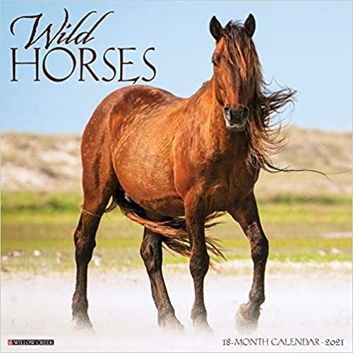 okumak Wild Horses 2021 Calendar