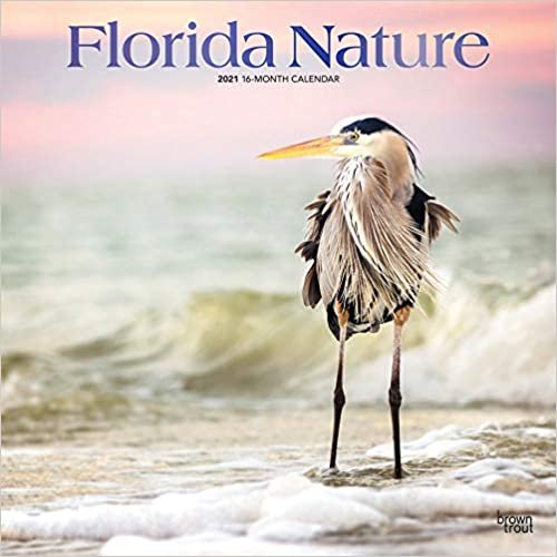 okumak Florida Nature - Floridas Natur 2021 - 16-Monatskalender: Original BrownTrout-Kalender [Mehrsprachig] [Kalender] (Wall-Kalender)