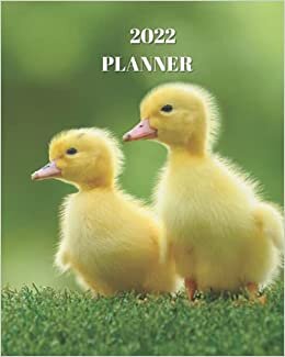 okumak 2022 Planner: Two Yellow Ducklings - Monthly Calendar with U.S./UK/ Canadian/Christian/Jewish/Muslim Holidays– Calendar in Review/Notes 8 x 10 in.