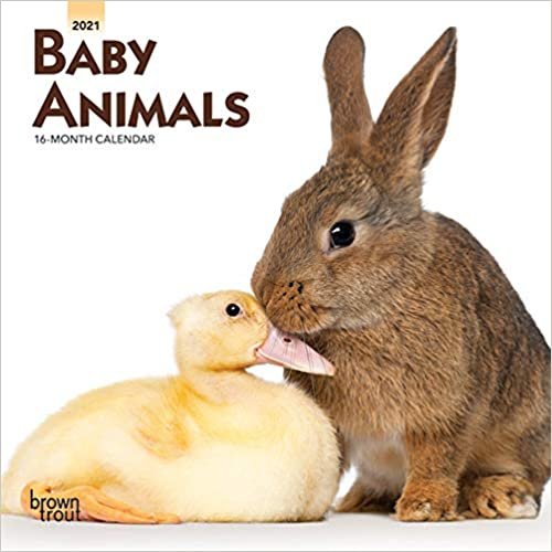 okumak Baby Animals 2021 Calendar