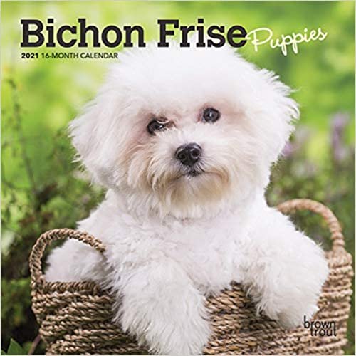 okumak Bichon Frise Puppies 2021 Calendar