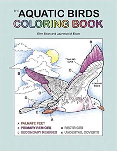 okumak The Aquatic Birds Coloring Book (Coloring Concepts)