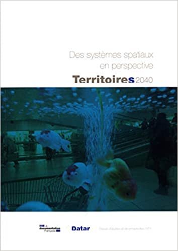 okumak Des Systemes Spatiaux en Perspective (N.3) (TERRITOIRES 2040)