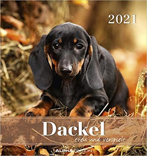 okumak Dackel 2021 - Postkartenkalender