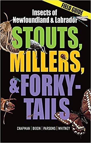 Stouts, Millers, and Forky-Tails: Insects of Newfoundland and Labrador