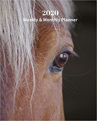 okumak 2020 Weekly and Monthly Planner: Brown Horse Eye - Monthly Calendar with U.S./UK/ Canadian/Christian/Jewish/Muslim Holidays– Calendar in Review/Notes 8 x 10 in.- Horse Animal Nature