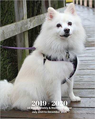okumak 2019 - 2020 | 18 Month Weekly &amp; Monthly Planner July 2019 to December 2020: American Eskimo Dog Pets Canine Vol 13 Monthly Calendar with U.S./UK/ ... Holidays– Calendar in Review/Notes 8 x 10 in.