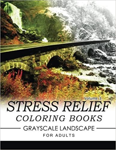 okumak Stress Relief Coloring Books GRAYSCALE Landscape for Adults Volume 3 (Stress Relief GRAYSCALE)