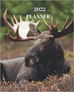 okumak 2022 Planner: Moose - Monthly Calendar with U.S./UK/ Canadian/Christian/Jewish/Muslim Holidays– Calendar in Review/Notes 8 x 10 in.-Wildlife Animals For Work Business School