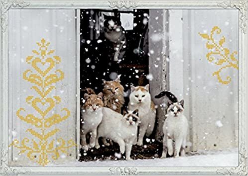okumak Wand-Adventskalender - Katzen-Winterträume