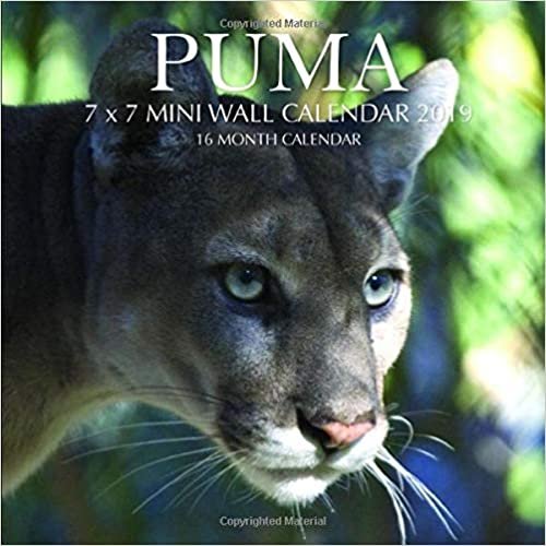 okumak Puma 7 x 7 Mini Wall Calendar 2019: 16 Month Calendar