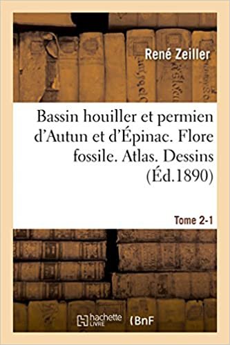 okumak Bassin houiller et permien d&#39;Autun et d&#39;Épinac. Flore fossile Atlas Tome 2-1 (Sciences)