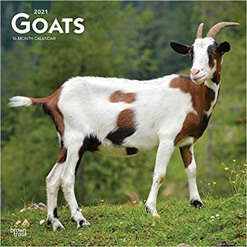 okumak Goats - Ziegen 2021 - 16-Monatskalender: Original BrownTrout-Kalender [Mehrsprachig] [Kalender] (Wall-Kalender)