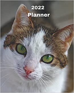 okumak 2022 Planner: Green Eye Cat - 12 Month Weekly and Monthly Planner January 2022 to December 2022 -Monthly Calendar with U.S./UK/ ... 8 x 10 in.- Cats Breed Pets Kittens