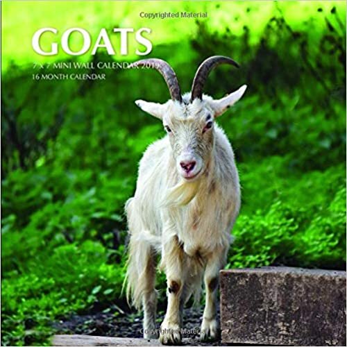 okumak Goats 7 x 7 Mini Wall Calendar 2019: 16 Month Calendar