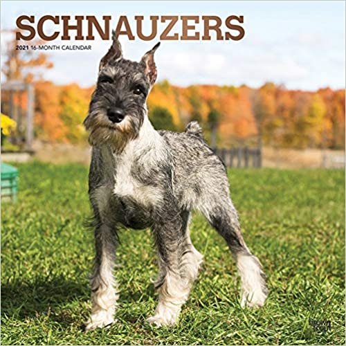 okumak Schnauzers - Schnauzer 2021 - 16-Monatskalender mit freier DogDays-App: Original BrownTrout-Kalender [Mehrsprachig] [Kalender] (Wall-Kalender)