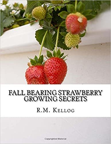 okumak Fall Bearing Strawberry Growing Secrets: R.M. Kellog&#39;s Great Crops of Strawberries and How He Grows Them