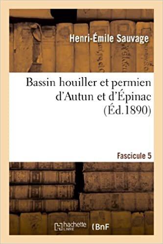 okumak Sauvage-H-E: Bassin Houiller Et Permien d&#39;Autun Et d&amp;ap (Sciences)