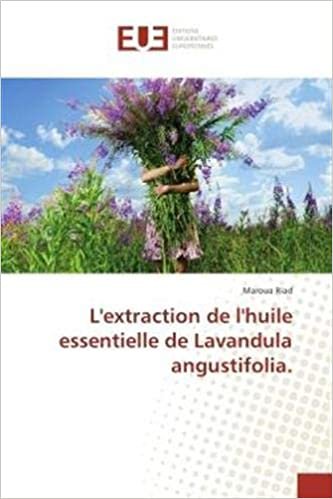okumak L&#39;extraction de l&#39;huile essentielle de Lavandula angustifolia. (OMN.UNIV.EUROP.)