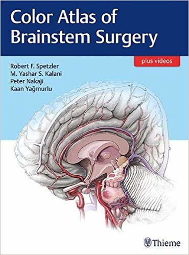 okumak Color Atlas of Brainstem Surgery