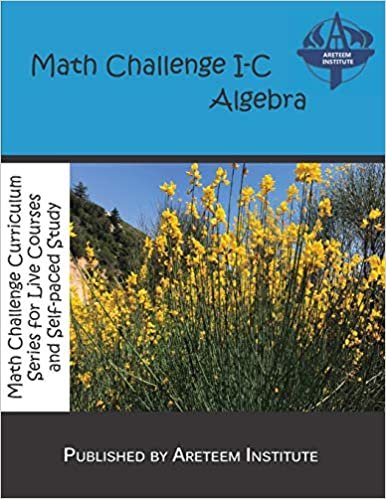 okumak Math Challenge I-C Algebra (Math Challenge Curriculum Textbooks)