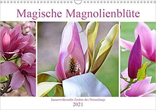 okumak Magische Magnolienblüte (Wandkalender 2021 DIN A3 quer): Zauberhafte Magnolien zeigen sich von ihrer schönsten Seite (Monatskalender, 14 Seiten )