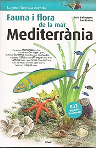 okumak Flora i fauna de la mar Mediterrània (Guia il·lustrada essencial, Band 1)