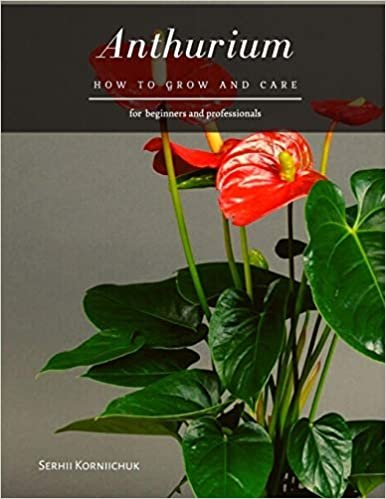 okumak Anthurium: How to grow and care