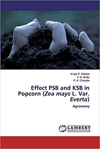 okumak Effect PSB and KSB in Popcorn (Zea mays L. Var. Everta): Agronomy
