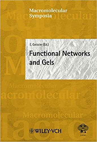 okumak Functional Networks and Gels: 200 (Macromolecular Symposia)