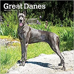 okumak Great Danes - Dänische Doggen 2021 - 16-Monatskalender mit freier DogDays-App: Original BrownTrout-Kalender [Mehrsprachig] [Kalender] (Wall-Kalender)