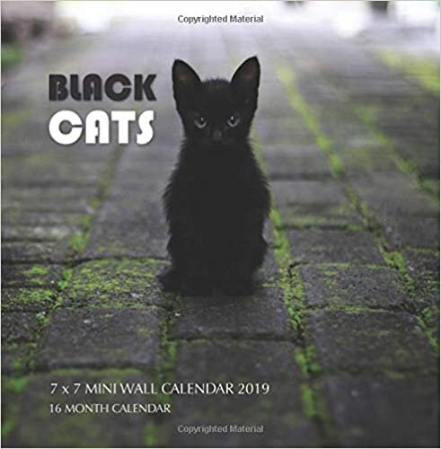 okumak Black Cats 7 x 7 Mini Wall Calendar 2019: 16 Month Calendar