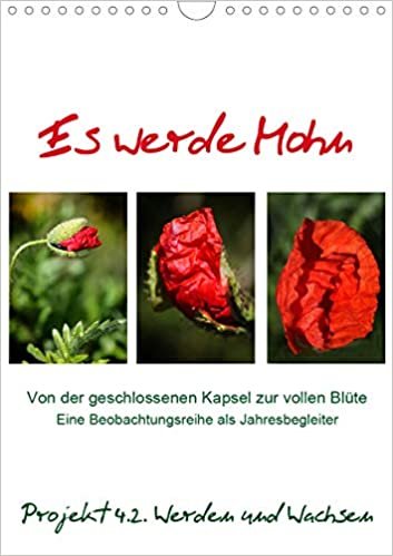 okumak Es werde Mohn (Wandkalender 2021 DIN A4 hoch): Eine Beobachungsreihe von der Kapsel bis zur vollen Blüte (Monatskalender, 14 Seiten ) (CALVENDO Natur)